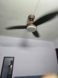 Blk 467A Fernvale Lea (Sengkang), HDB 4 Rooms #573532991